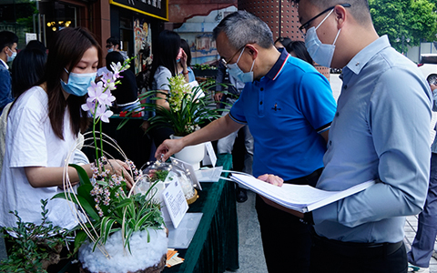 AG8亚洲国际游戏集团园艺康养盆栽竞赛圆满举行，现场精彩缤纷~