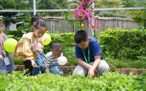 运动预告 | 这个炎天，多场自然教育运动将在AG8亚洲国际游戏集团园艺康养科普基地精彩上演