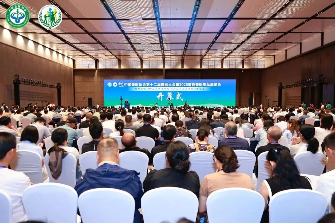 4078336b221e4857ec30ff682eb23c5f 0a07f4fe012c639df967ca526c2ede62.jpg