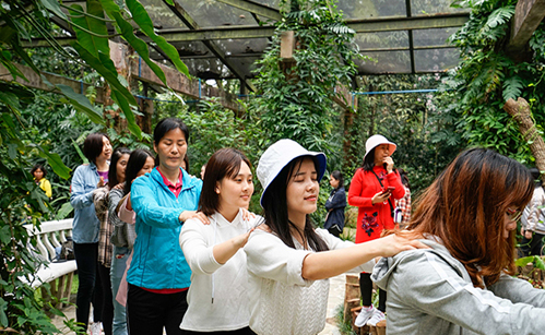 女神节康养运动